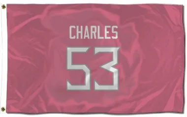 Pink Tennessee Titans Saahdiq Charles   Flag (3 X 5)